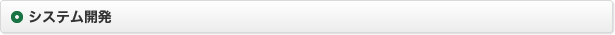 システム開発