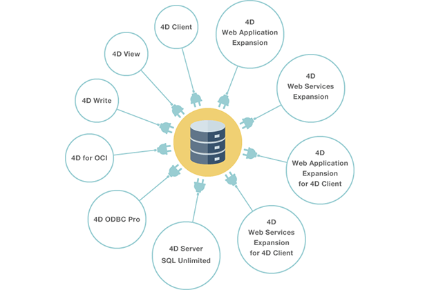 4Dデータベース　ソリューションパートナー