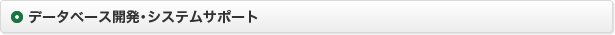 データベース開発・システムサポート