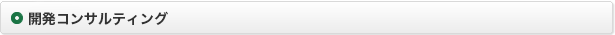 開発コンサルティング