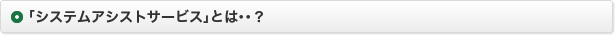 「システムアシストサービス」とは・・？