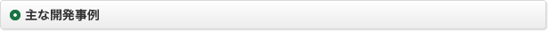 主な開発事例