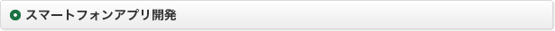 スマートフォンアプリ開発