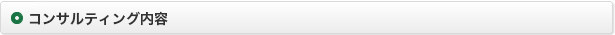 コンサルティング内容