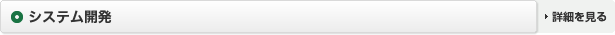 システム開発